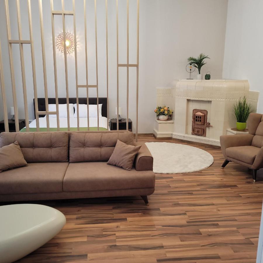 B8 - Spacious, Charming Apartment In Central Sibiu Extérieur photo