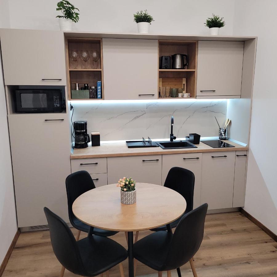 B8 - Spacious, Charming Apartment In Central Sibiu Extérieur photo