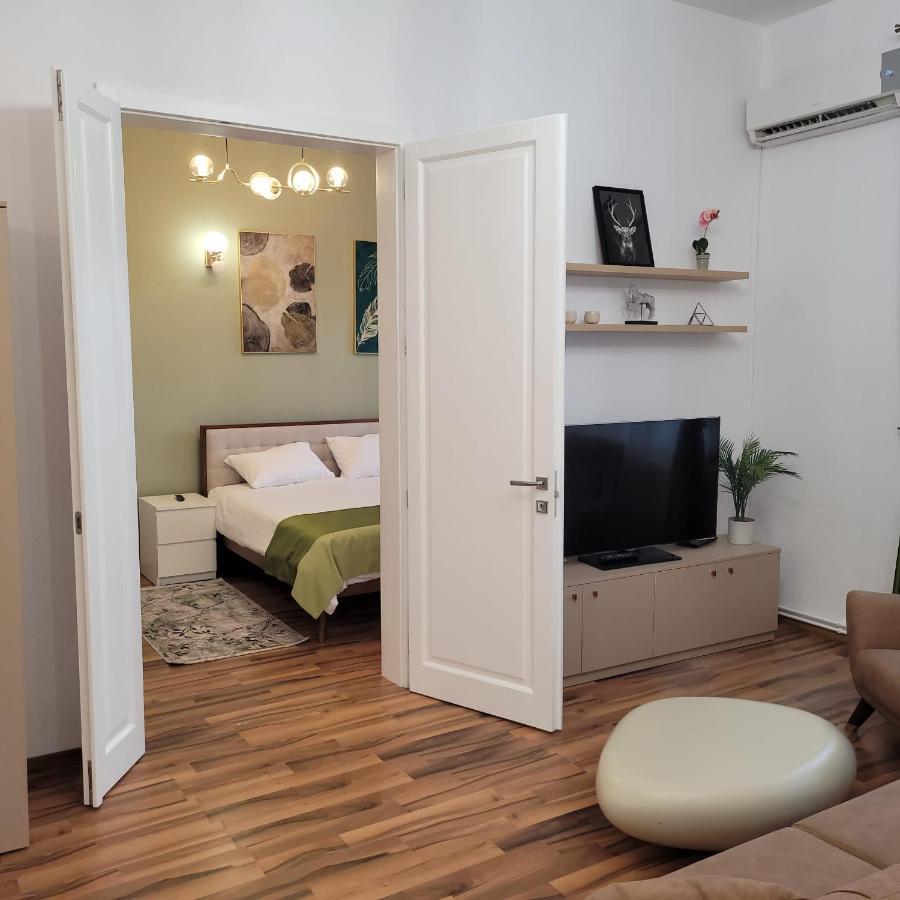 B8 - Spacious, Charming Apartment In Central Sibiu Extérieur photo