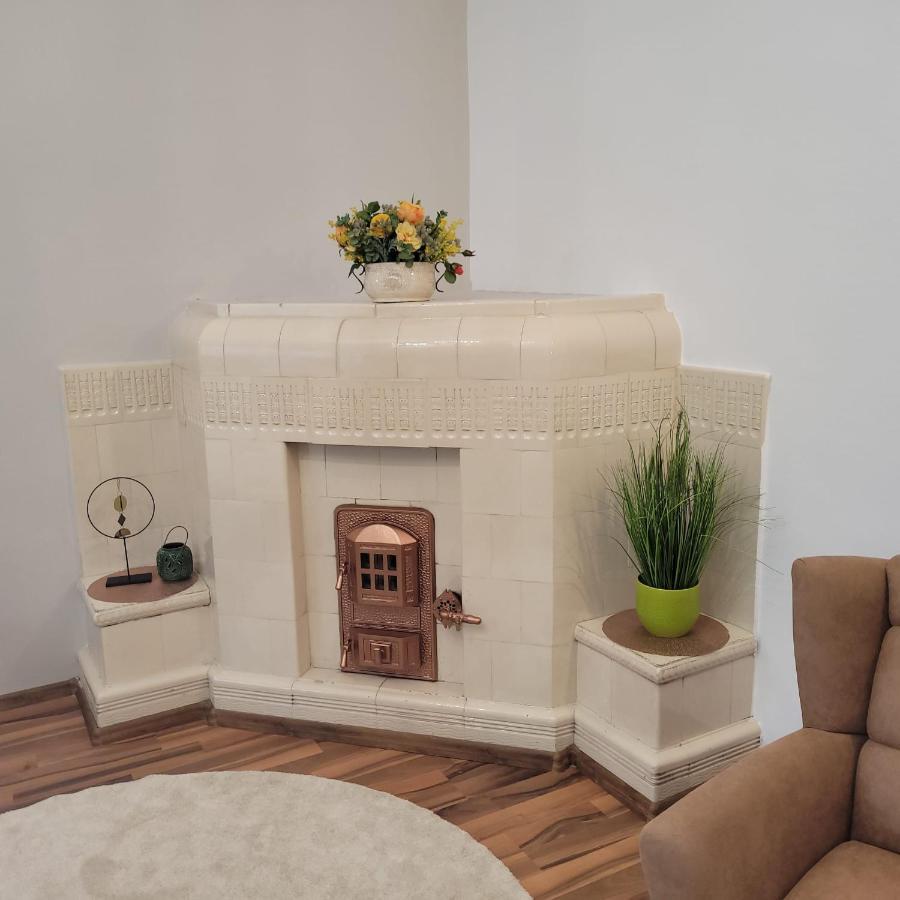 B8 - Spacious, Charming Apartment In Central Sibiu Extérieur photo