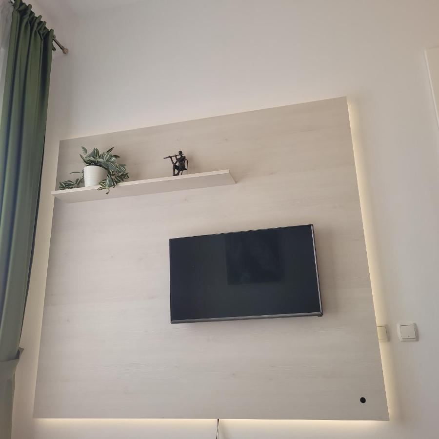 B8 - Spacious, Charming Apartment In Central Sibiu Extérieur photo