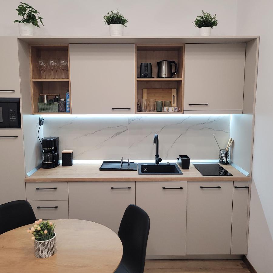 B8 - Spacious, Charming Apartment In Central Sibiu Extérieur photo